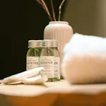 L'eden à Proximité Du Chateau De Chantilly, Parc Asterix, Proche De Paris